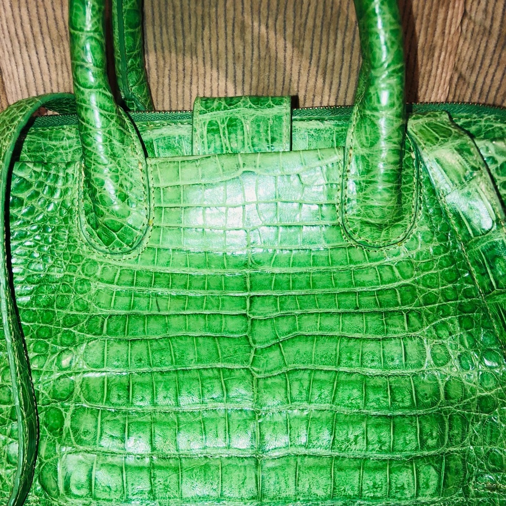 Authentic Nancy Gonzalez crocodile handbag